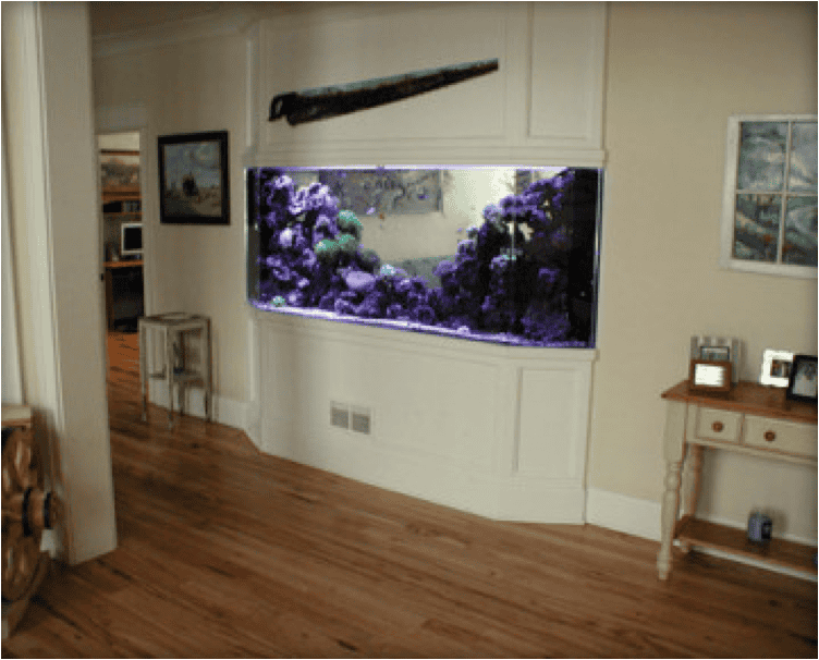 Our 15 Favorite “Room Divider” Aquariums Blue Aquarium