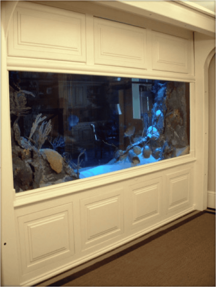 Our 15 Favorite “Room Divider” Aquariums Blue Aquarium