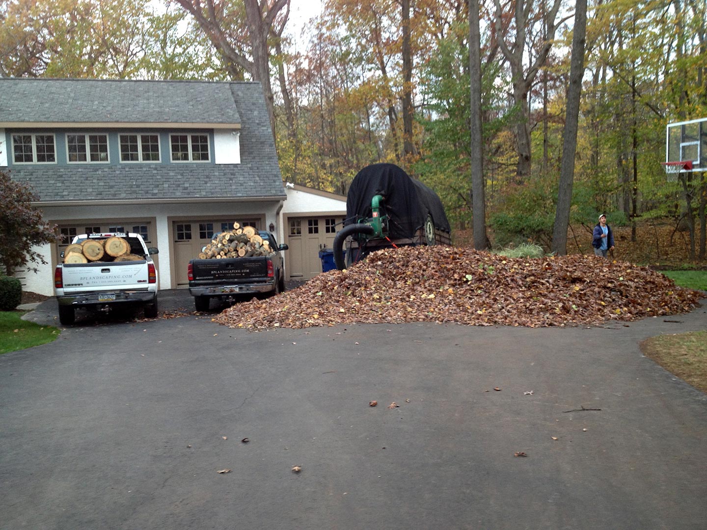 Fall Cleanup BP Landscaping