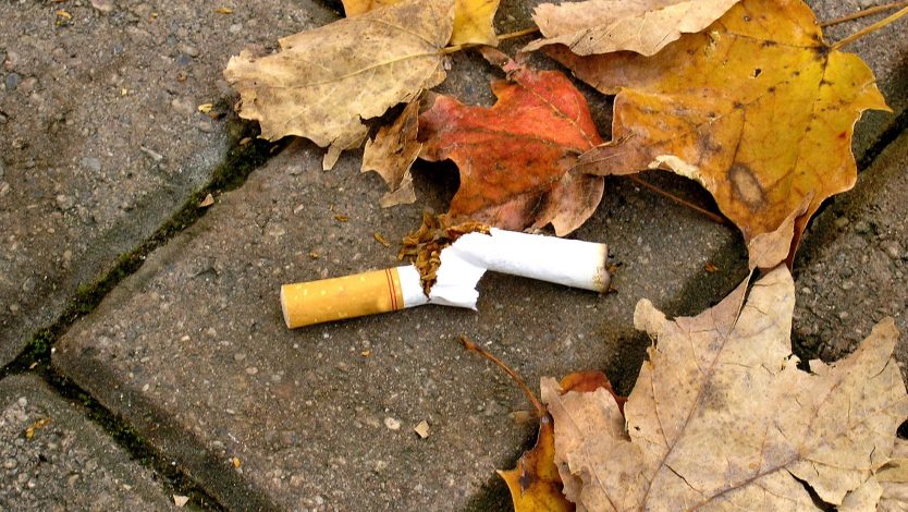 Personlighetsdrag påverkar följsamhet till läkemedelsbehandling och syn