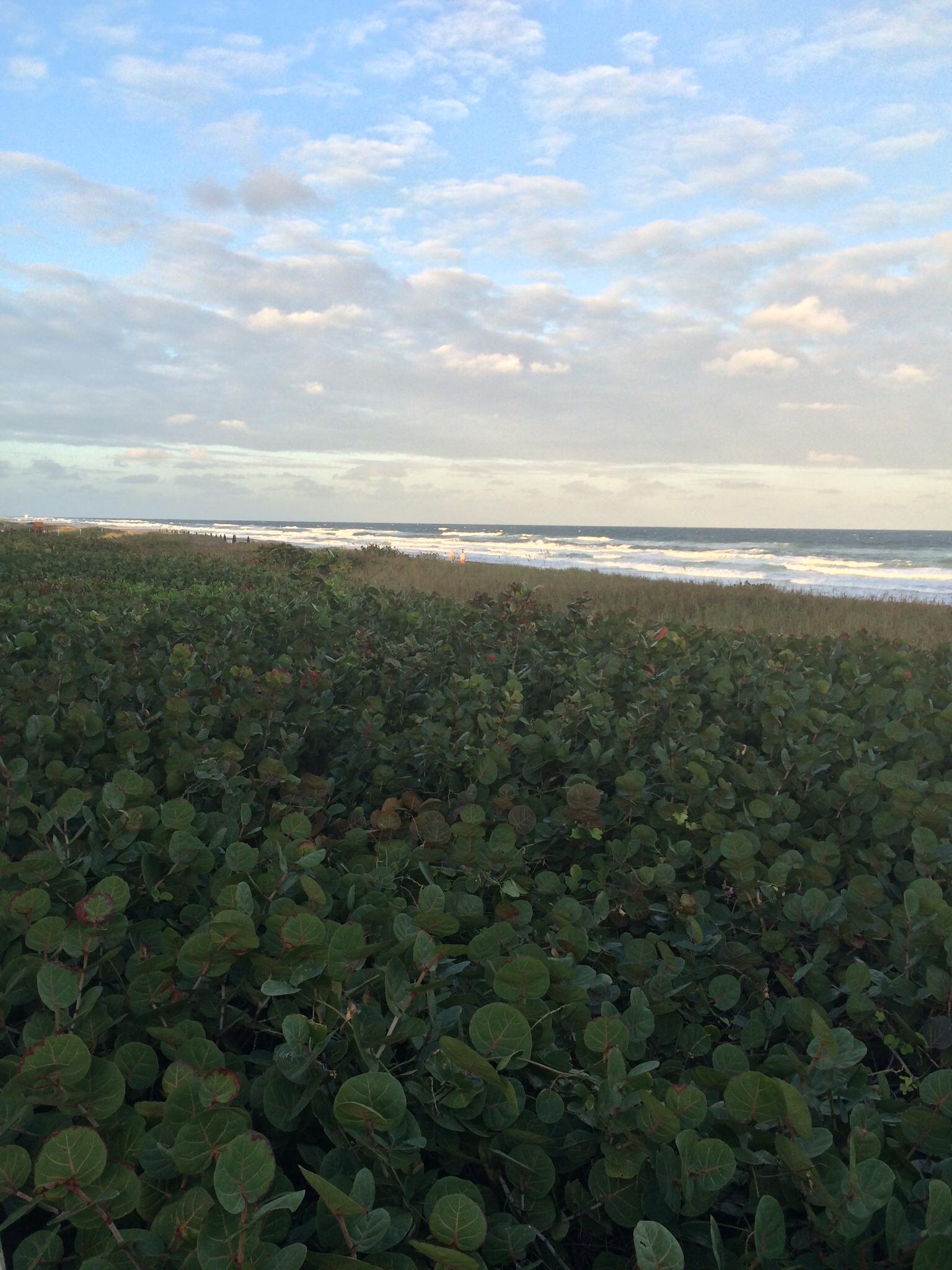 Dune Management Beach Property Owners Association