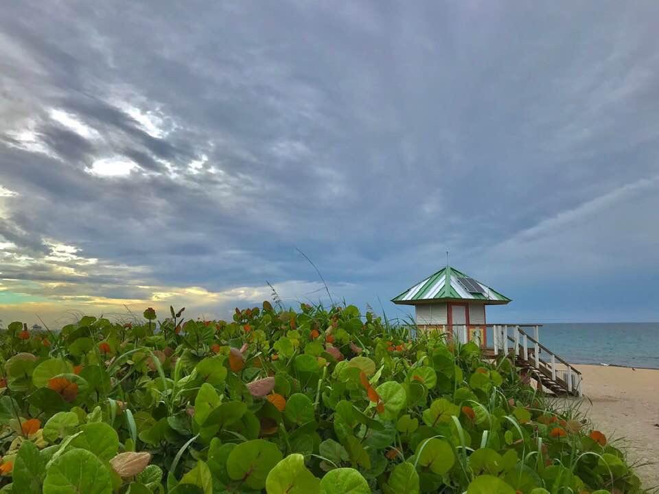 Dune Management Beach Property Owners Association