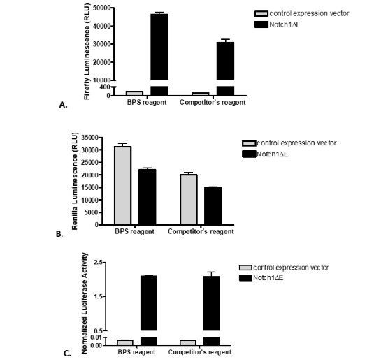 TWOStep Luciferase (Firefly & Renilla) Assay System