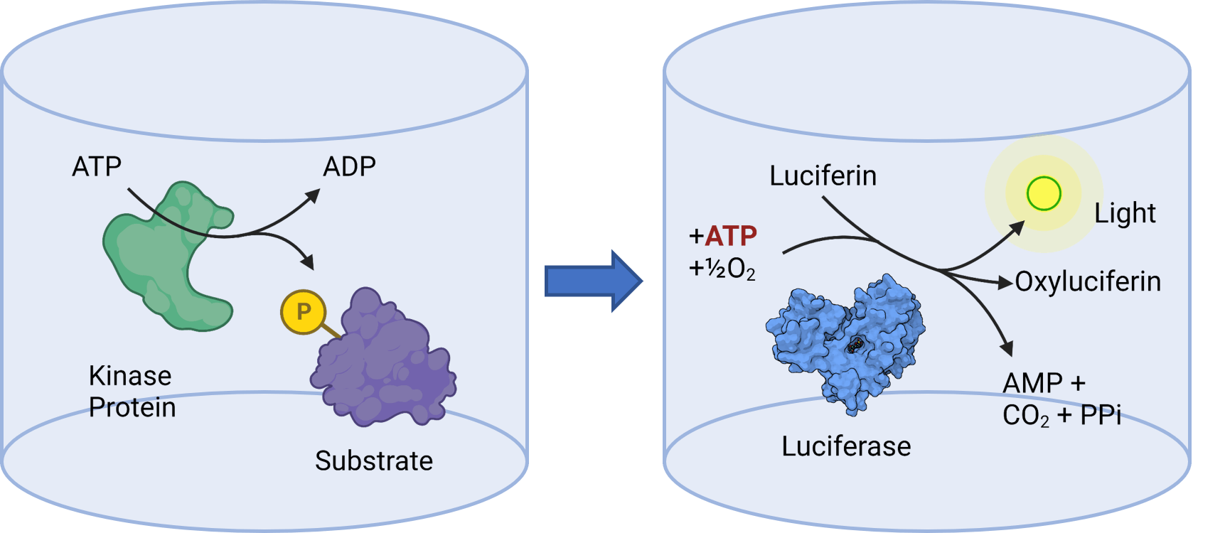 Luminescent Assay Kits