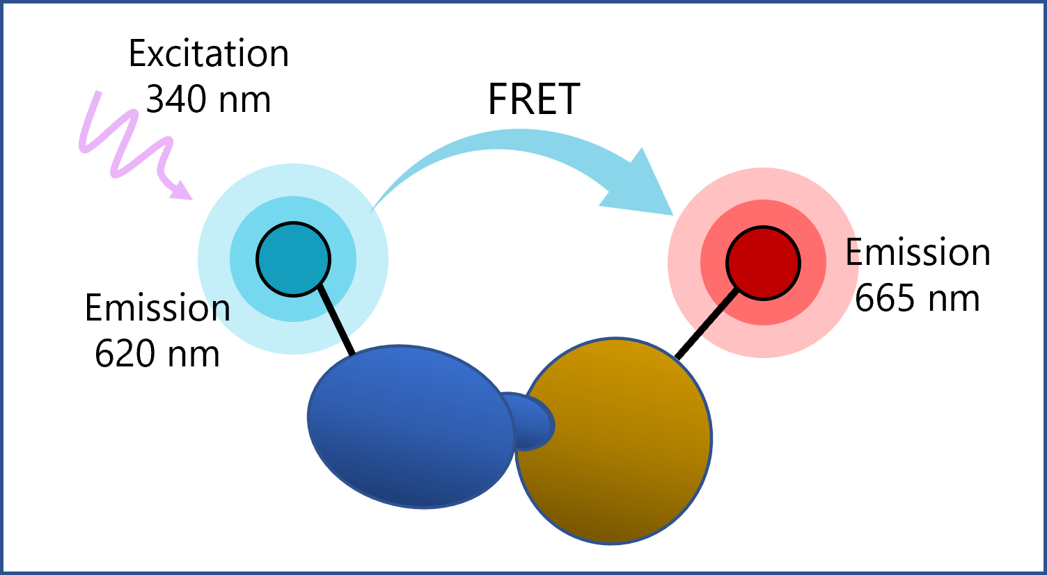 TR-FRET Assay Kits