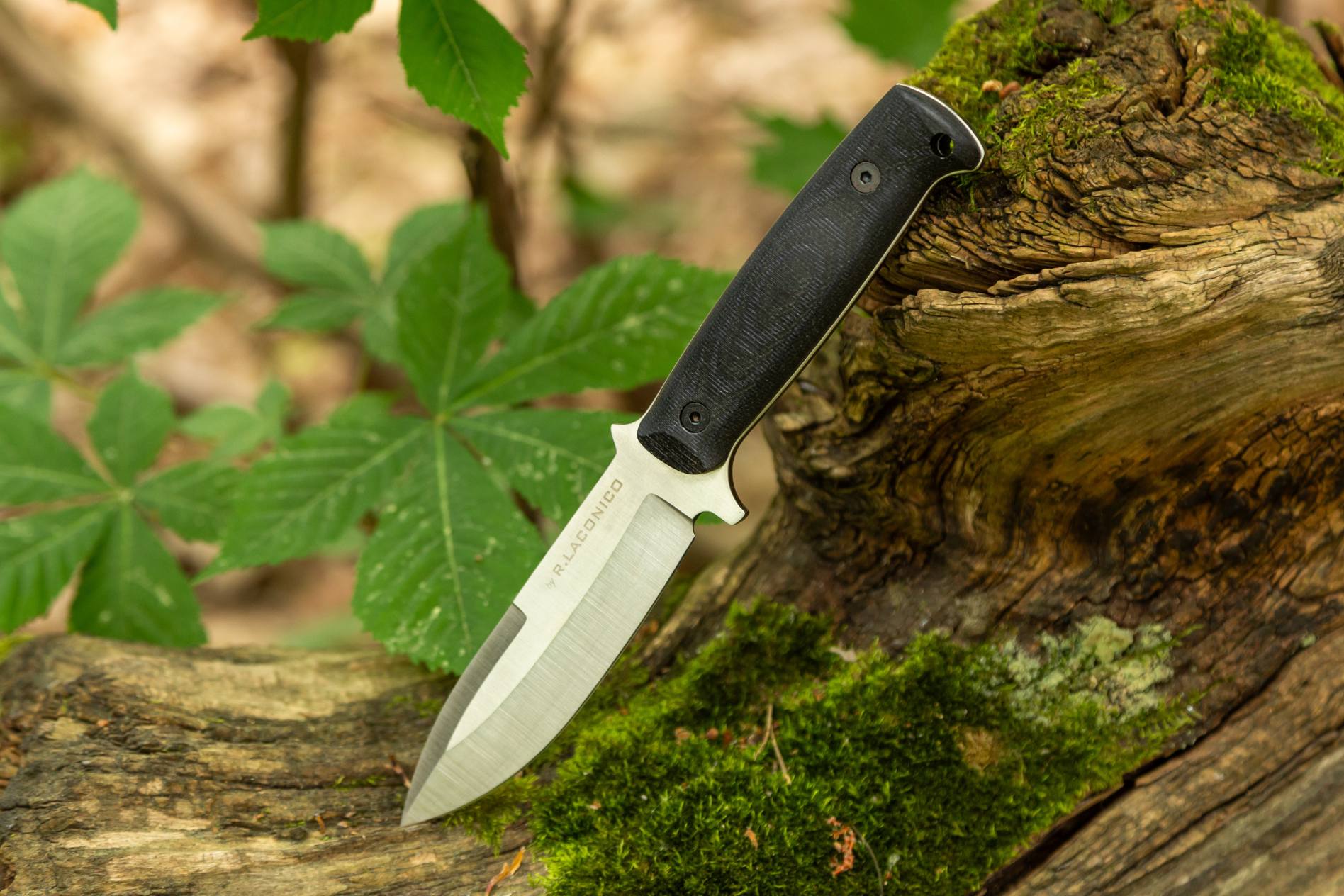 Stingray — High quality handmade camping knives — BPS