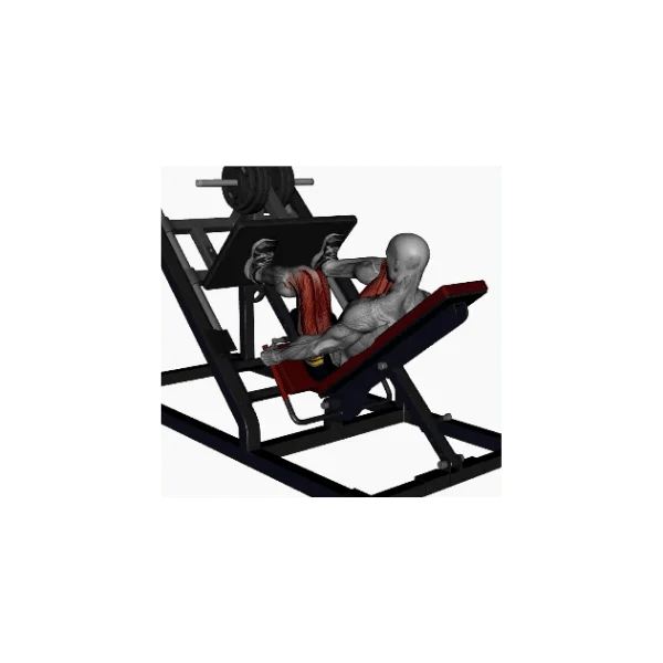 Angled leg press instructions BP Training and Coaching