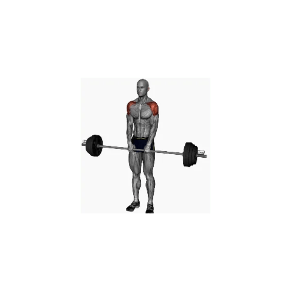 Barbell upright row instructions BP Training and Coaching