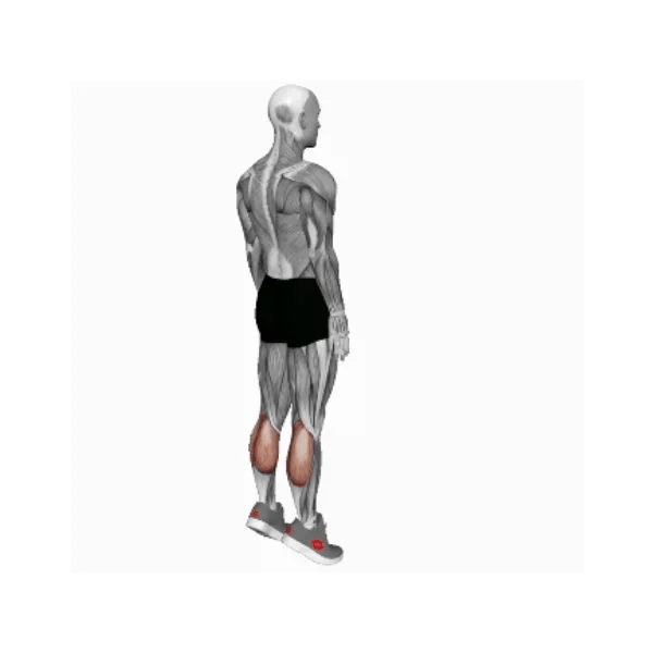 Bodyweight standing calf raise BP Training and Coaching