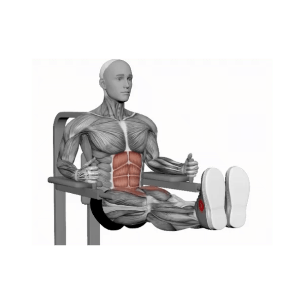 Captain's Chair Straight Leg Raise Instructions BP Training and Coaching