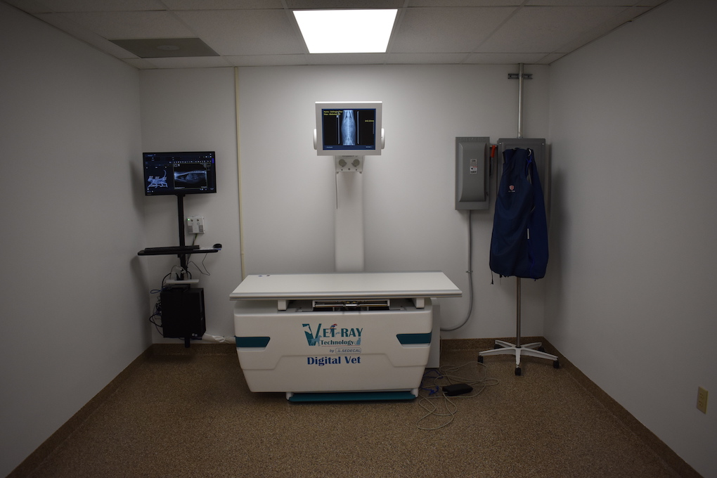 Facility Tour Bracken Ridge Veterinary Hospital Bedford, PA