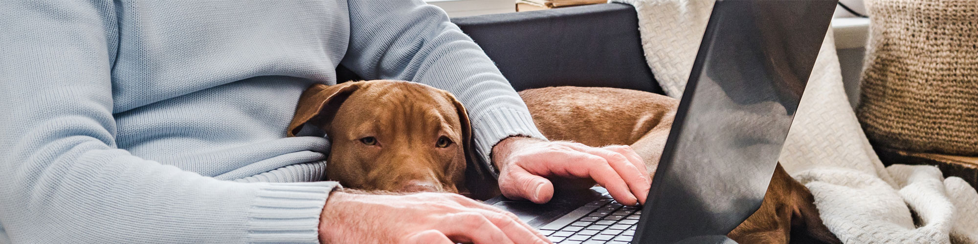 Handy Resource Guide for Pet Owners Bracken Ridge Veterinary Hospital