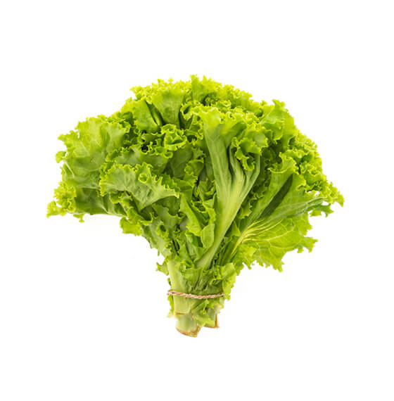 Lettuce Ogenix