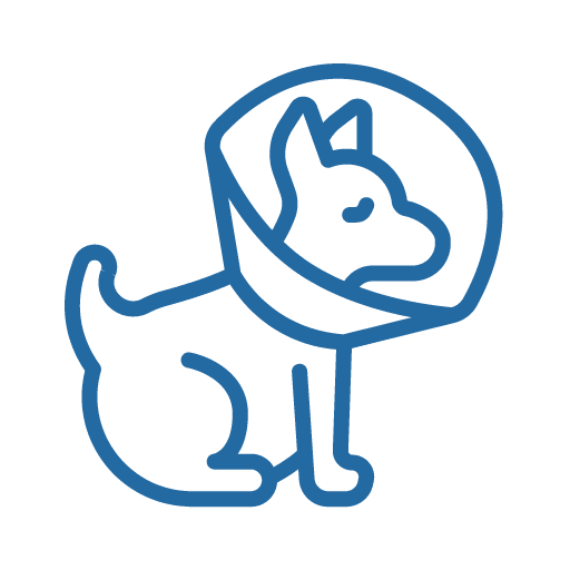 Veterinarian in Indianapolis, IN Broad Ripple Animal Clinic