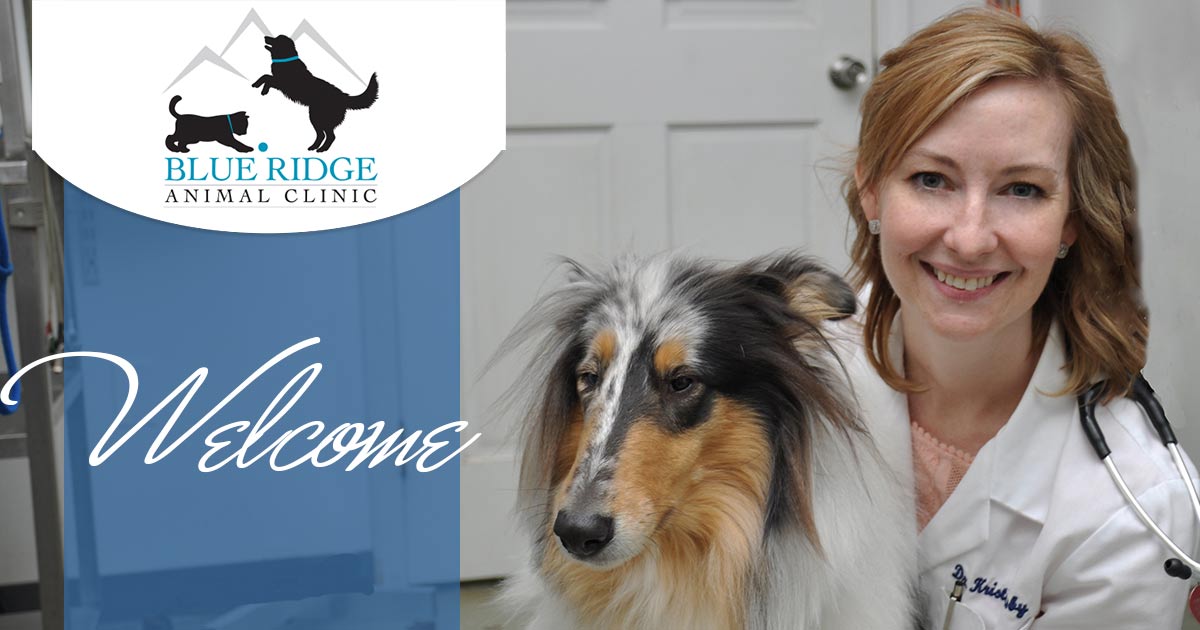 Blue Ridge Animal Clinic Wetumpka Veterinarians, Animal Hospital