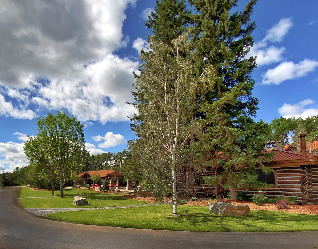 Landscaping Calgary Bradbosh Landscaping Calgary