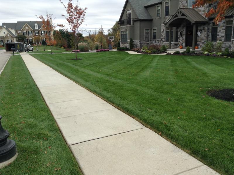 Fertilization & Weed Control Brad Byrne Complete Lawn Maintenance