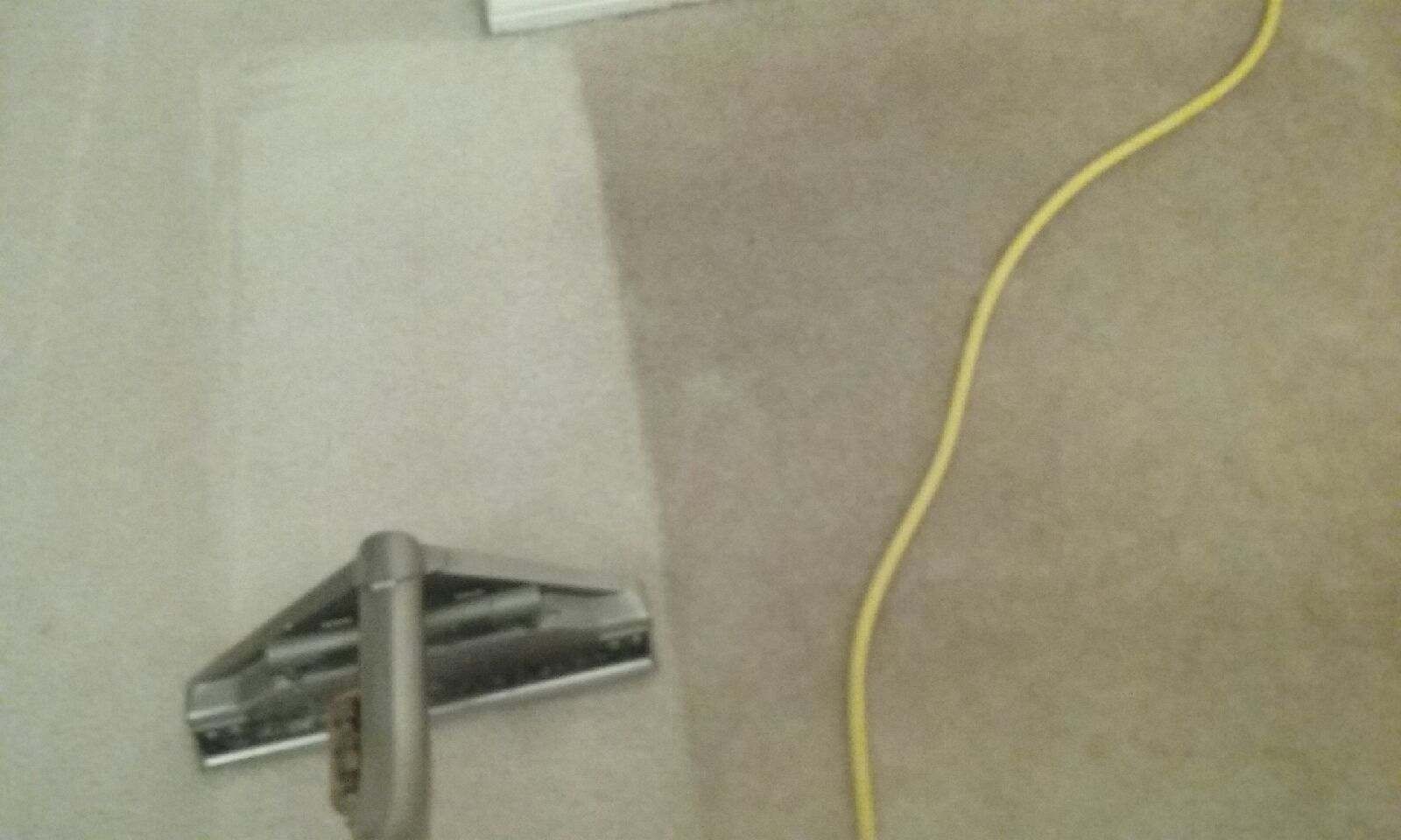 Commercial Carpet Cleaning Bradenton Sarasota Carpet Cleaner