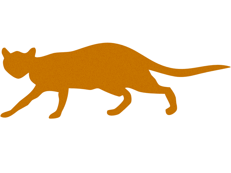 List of Bands with AnimalThemed Names