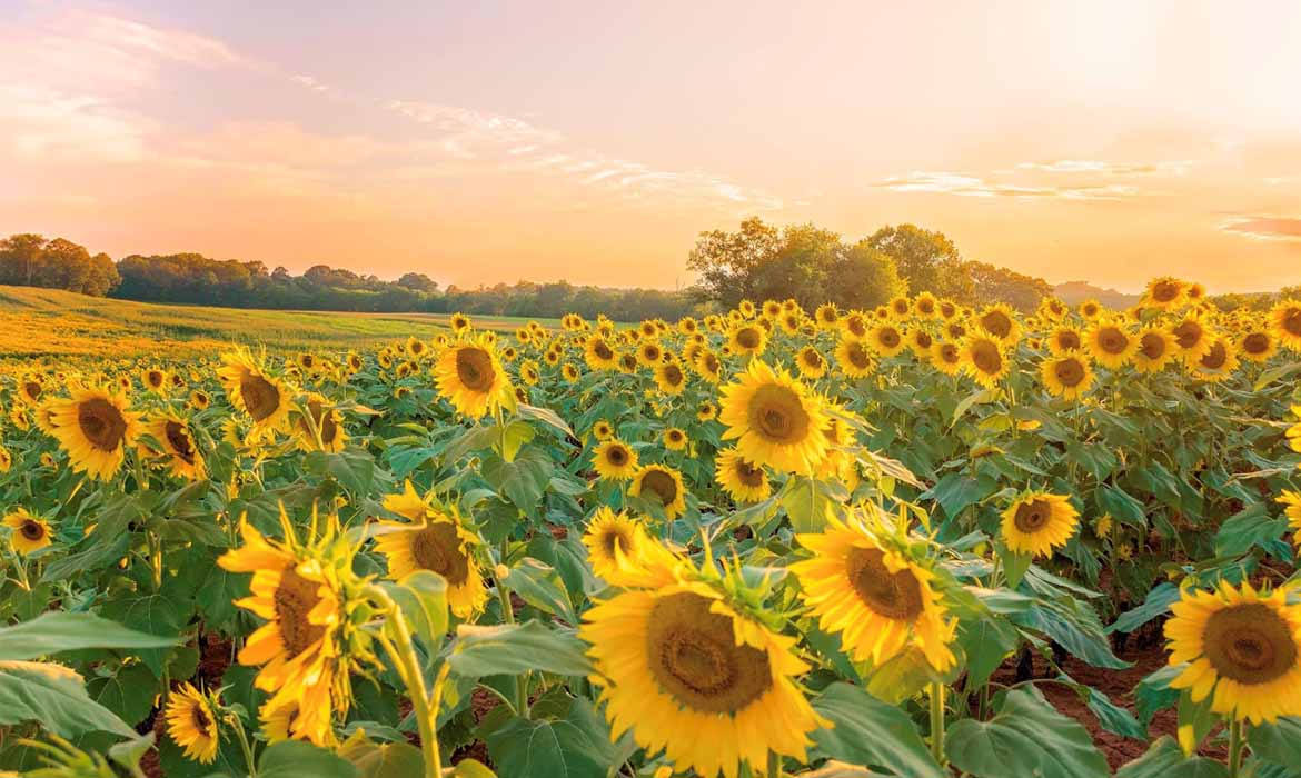 Bradley County Clerk Bradley County, TN