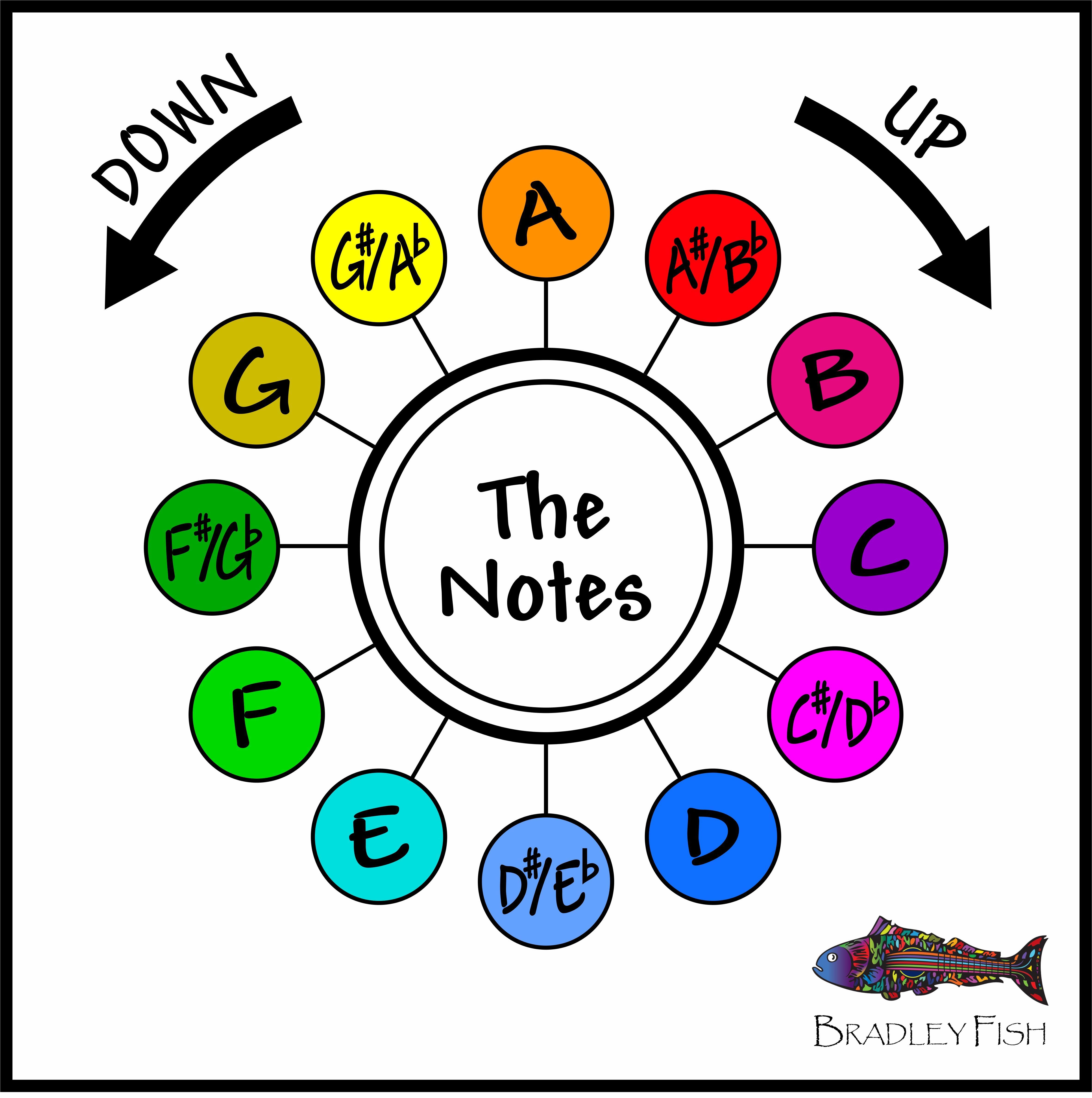 The Notes Bradley Fish