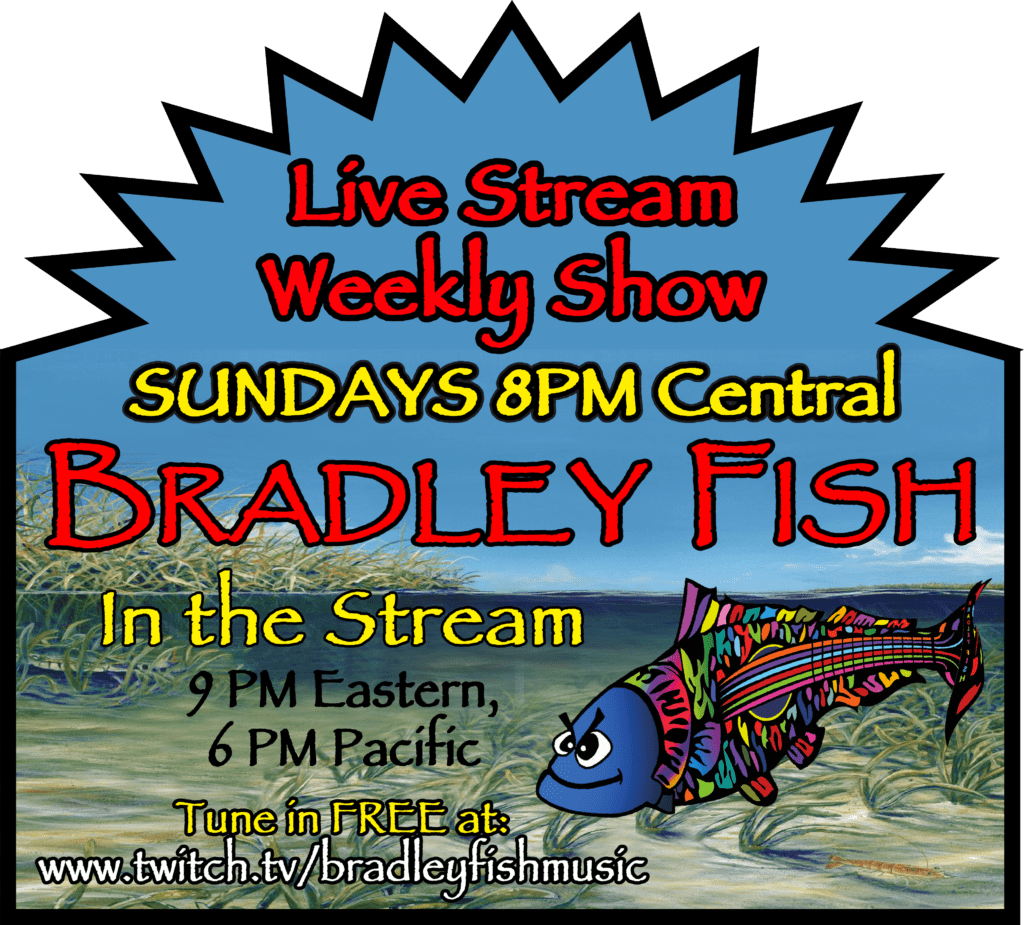 Bradley Fish Musician Producer Music Coach