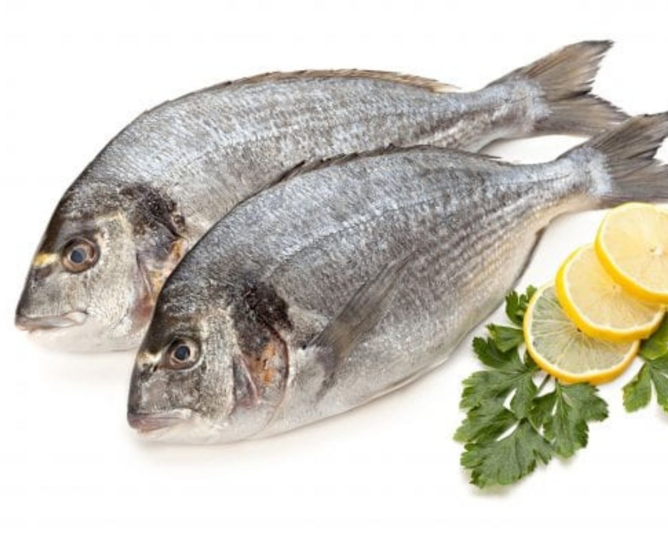 Buy Gilt Head Bream 4/600g 2 per pack Online at the Best Price, Free UK