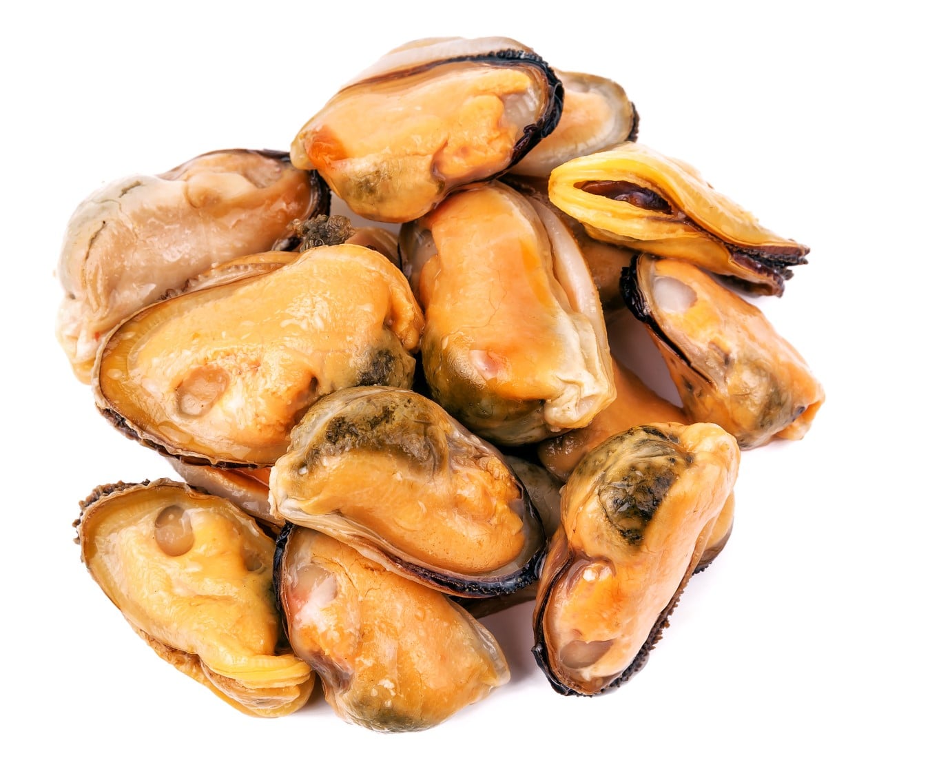 Buy Chilean Mussels 1kg Online at the Best Price, Free UK Delivery