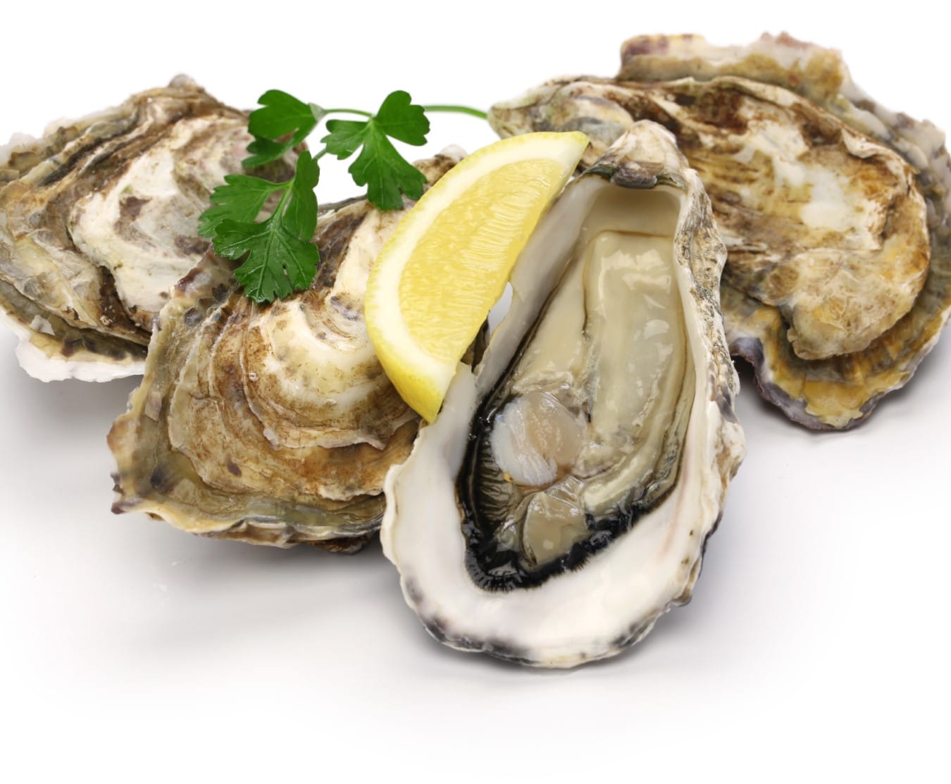 Buy Oyster 1kg Online at the Best Price, Free UK Delivery Bradley's Fish