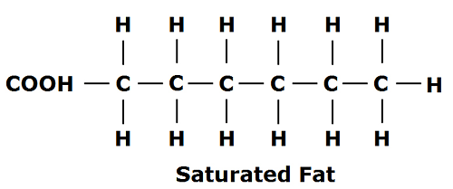 The skinny on saturated fats