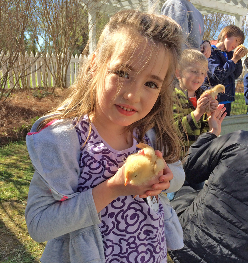 Family fun at Old McCaskill’s Farm