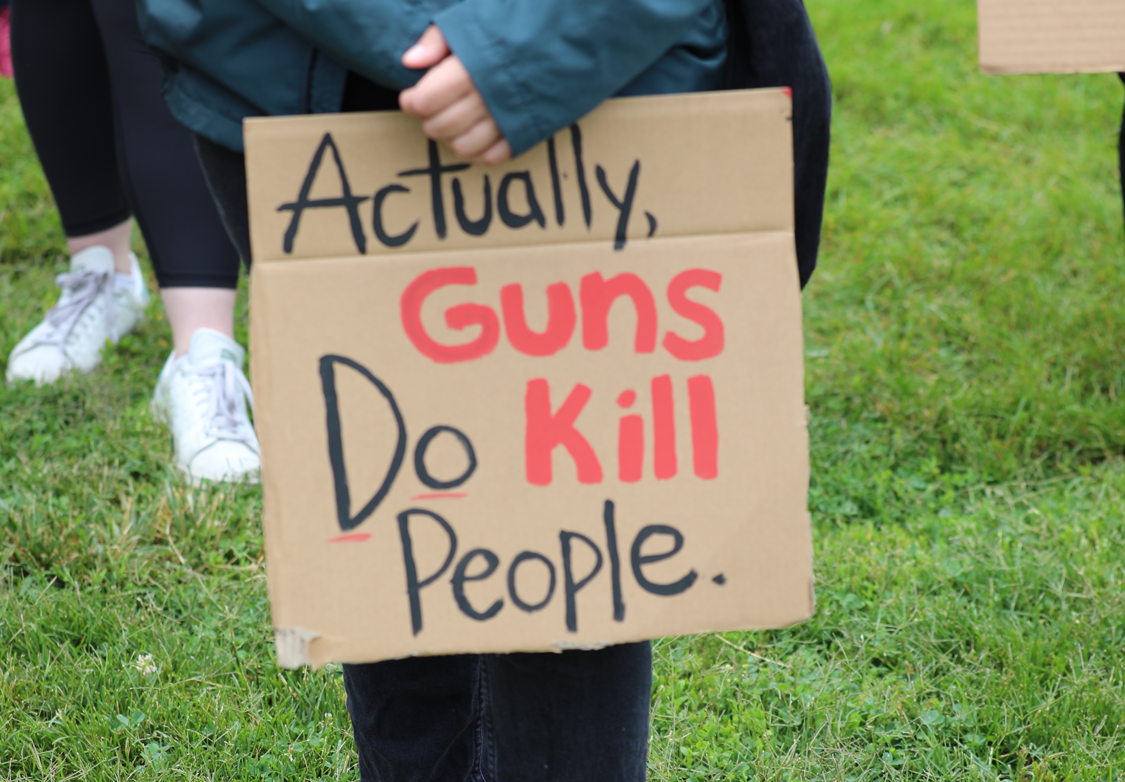 Stand Your Ground Laws Brady