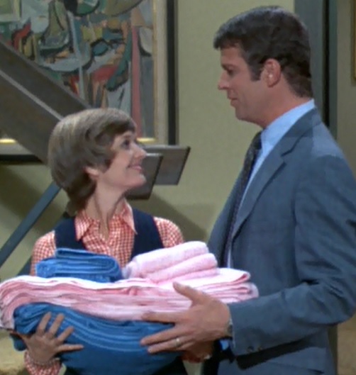 voice Here's The Story Every Episode of The Brady Bunch Reviewed