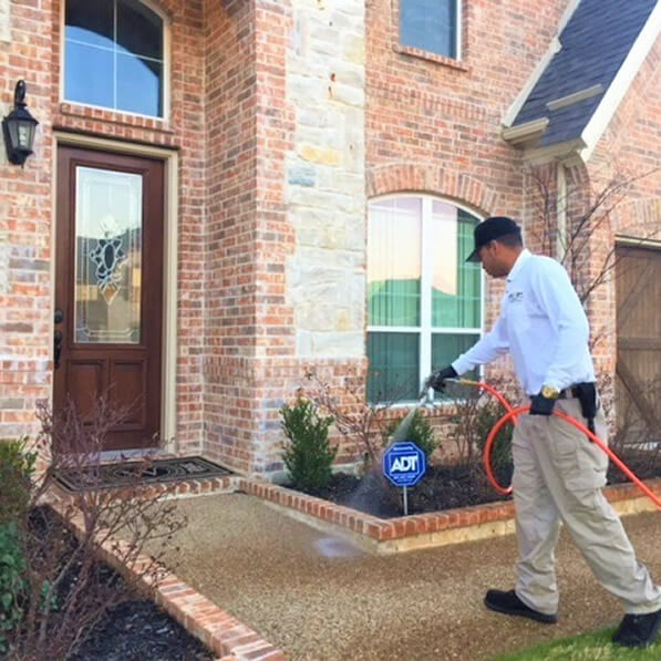Brady Pest Control Grand Prairie, TX Same Day Pest Control Solutions