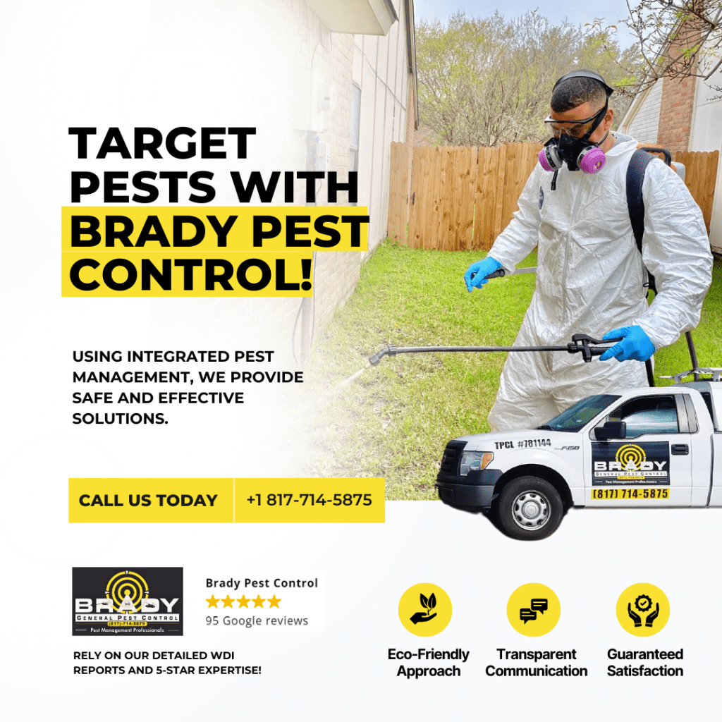 Cockroach Pest Control Expert In Grand Prairie, TX.