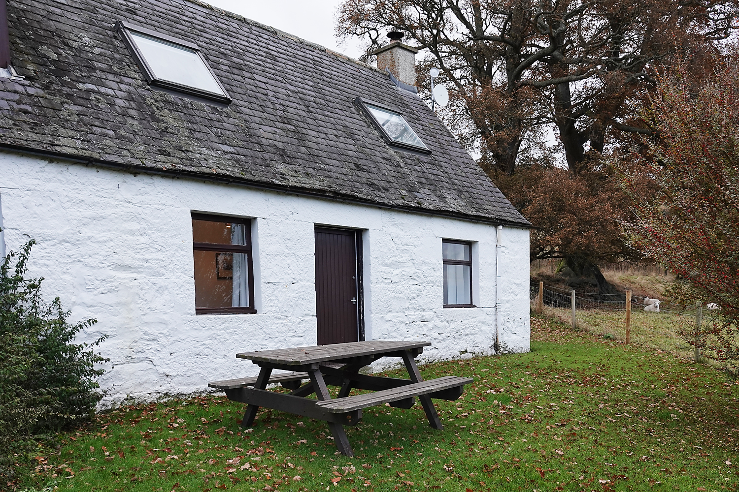 Seaforth Brahan Estate