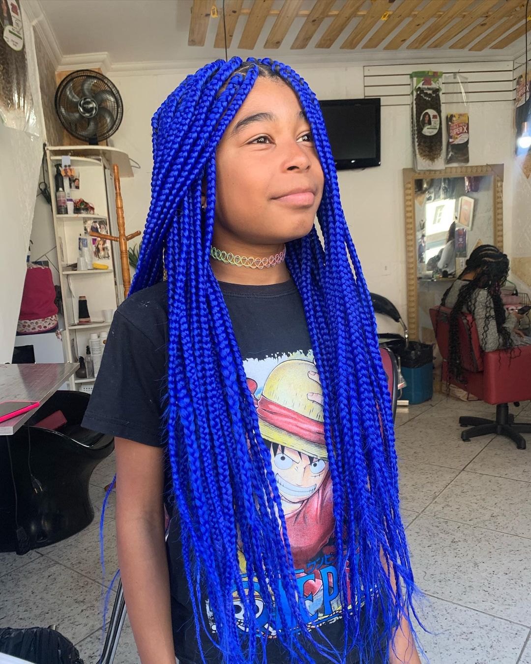 19 BLUE BRAIDS HAIRSTYLES Braid Hairstyles