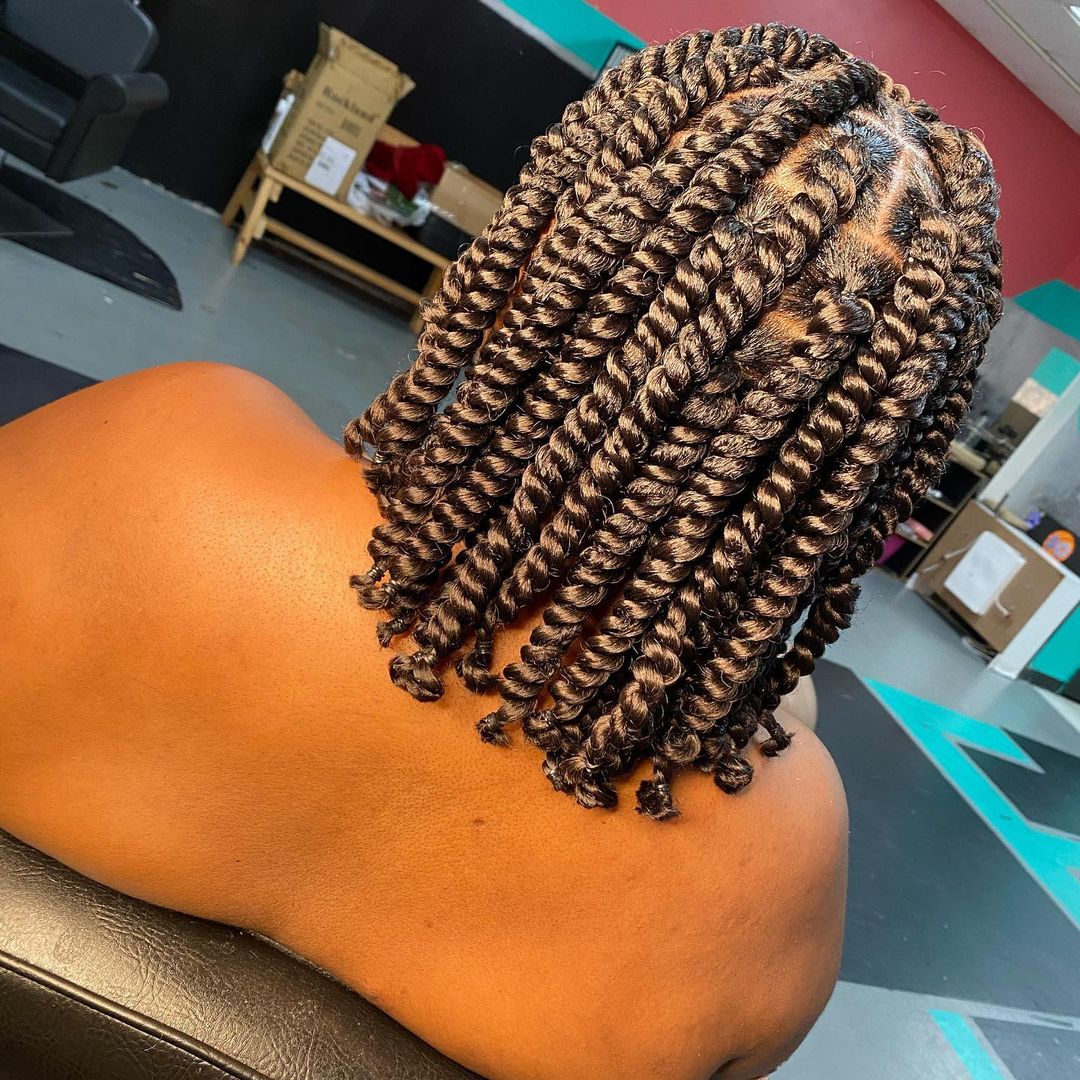 25 Types of Twist Braids Hairstyles to Try Now Pictures & Styling Tips
