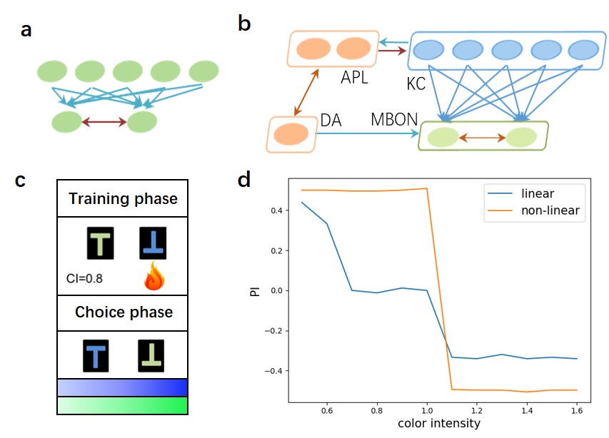 Drosophilainspired decisionmaking SNN — braincog 0.2.7.11 文档