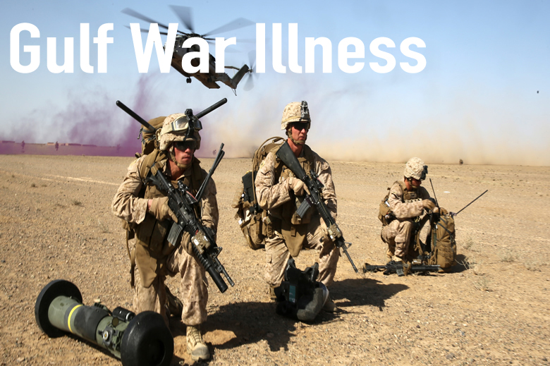 Brain Sciences Center Gulf War Illness