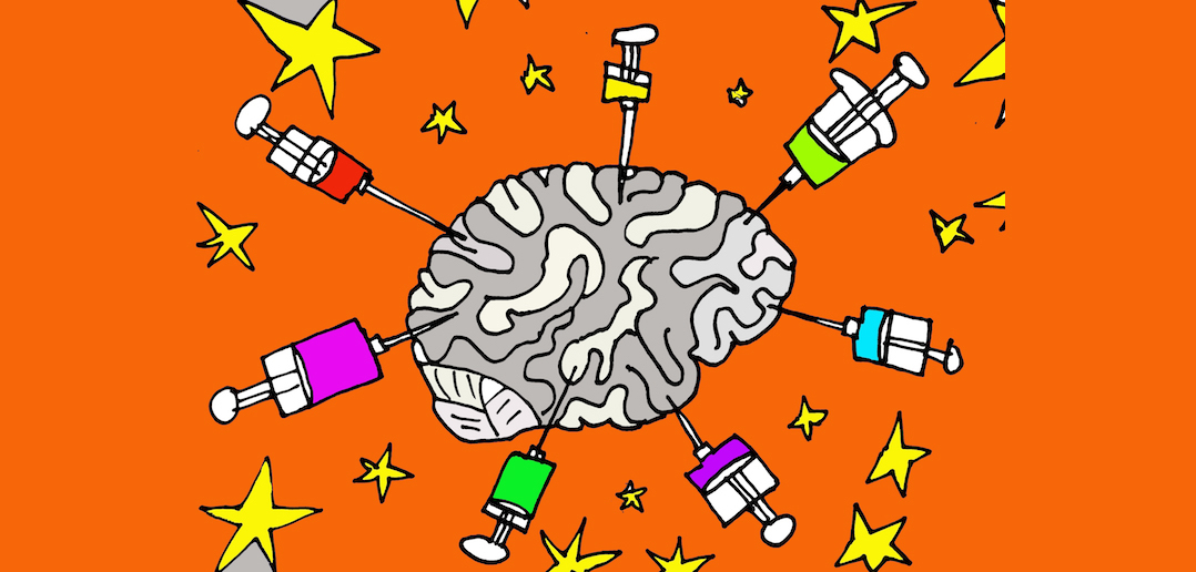 brainability angewandte transdisziplinäre Forschung &amp; Entwicklung