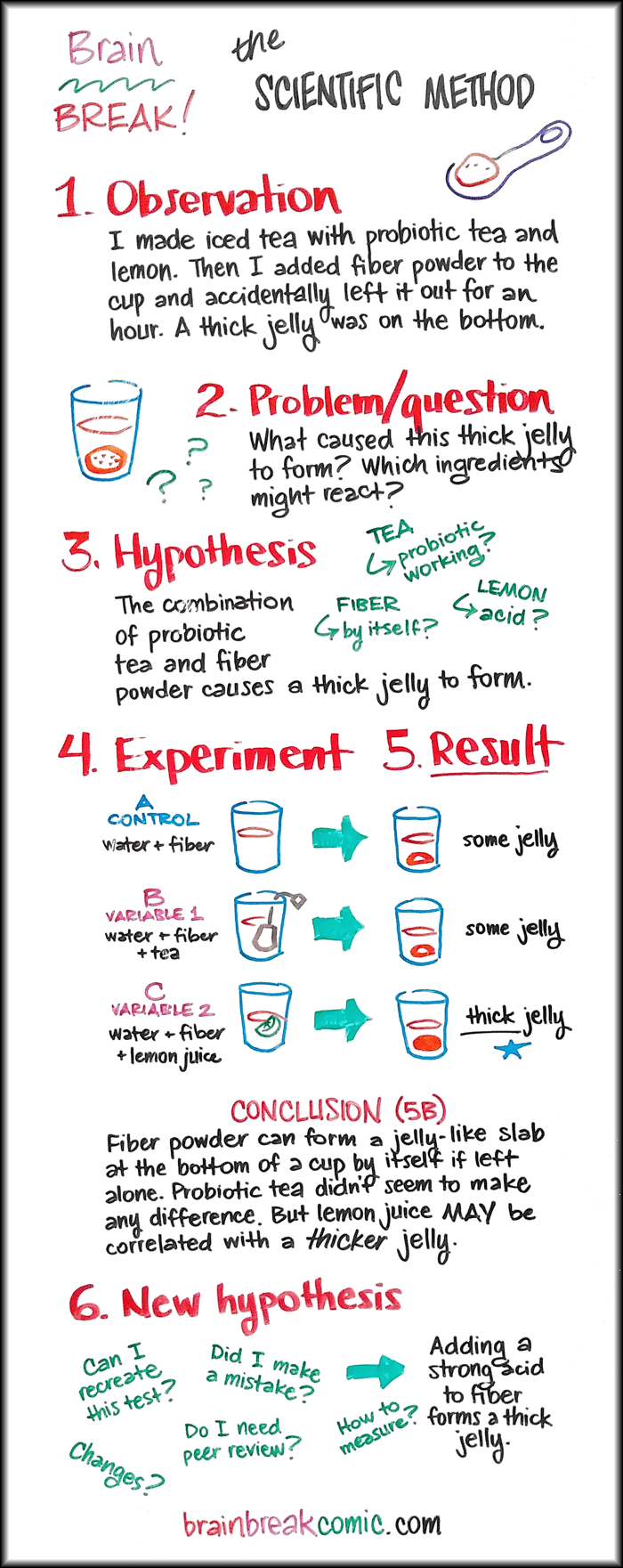 The Scientific Method Tea and Fiber Brain BREAK!