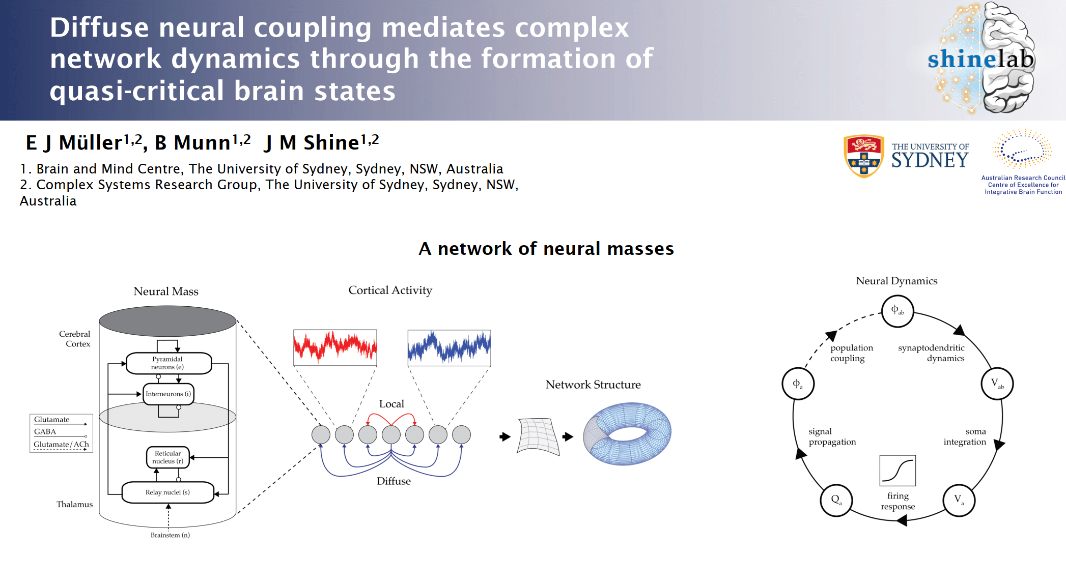 Virtual Poster 37 Diffuse neural coupling mediates complex network