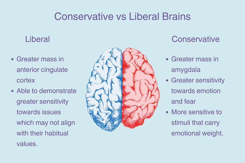 is the daily beast liberal or conservative