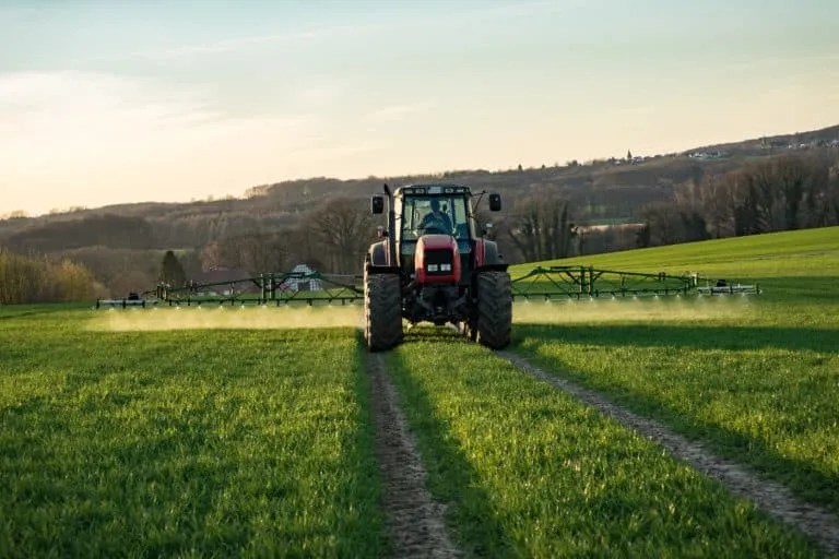 What is Glyphosate + The Best Ways to Avoid It in Your Foods!