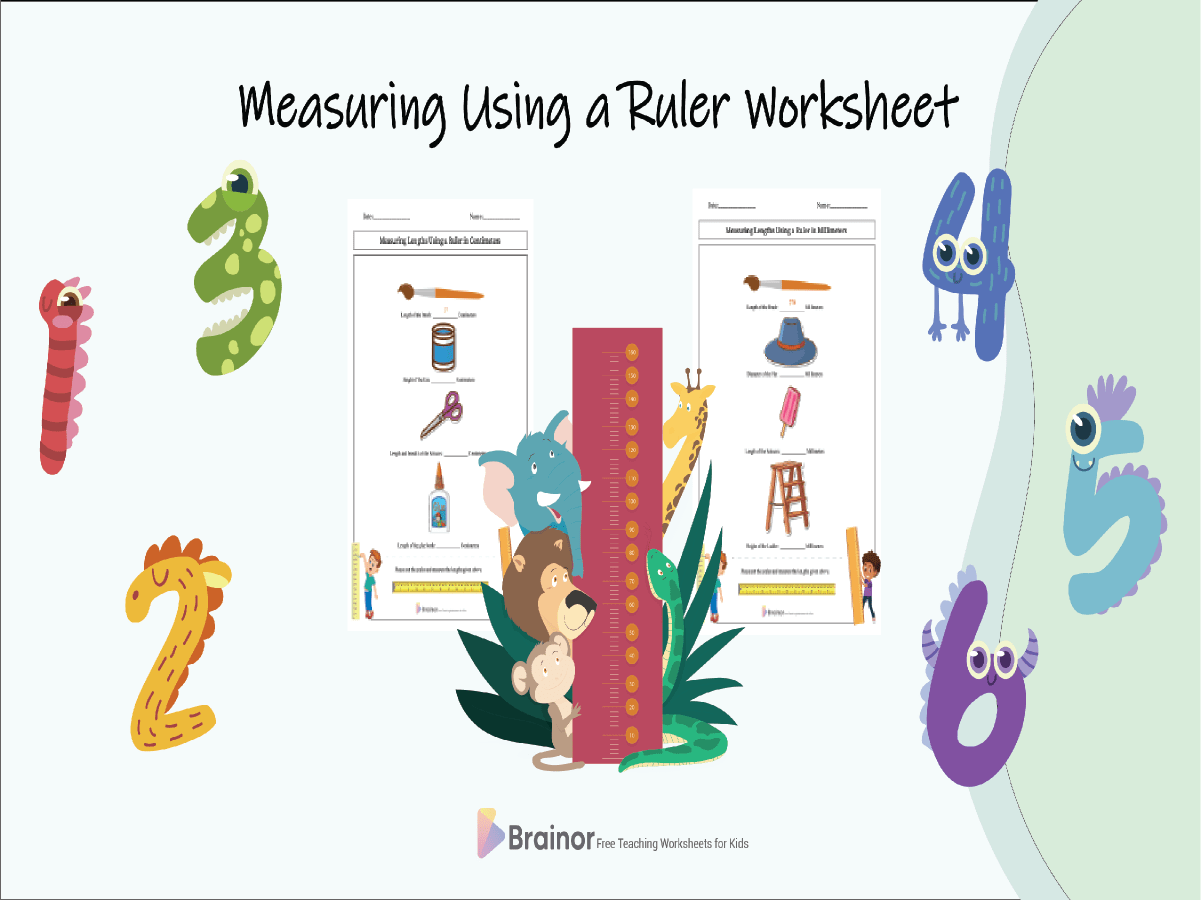 15 Free Measuring Using a Ruler Worksheet