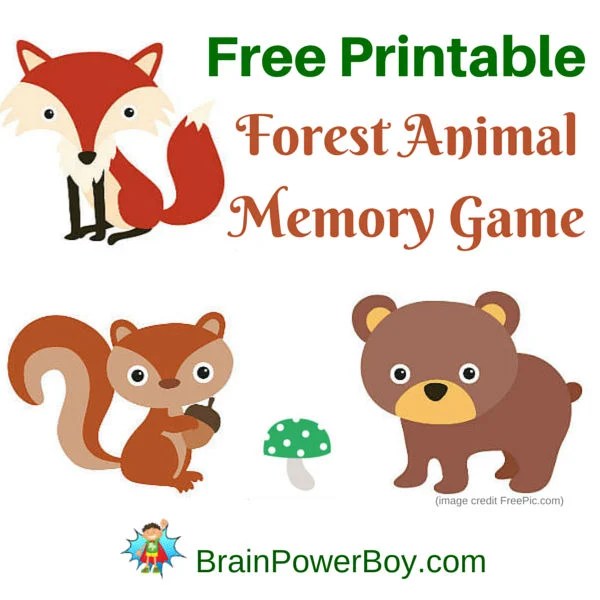 Cute Forest Animal Memory Game Brain Power Family