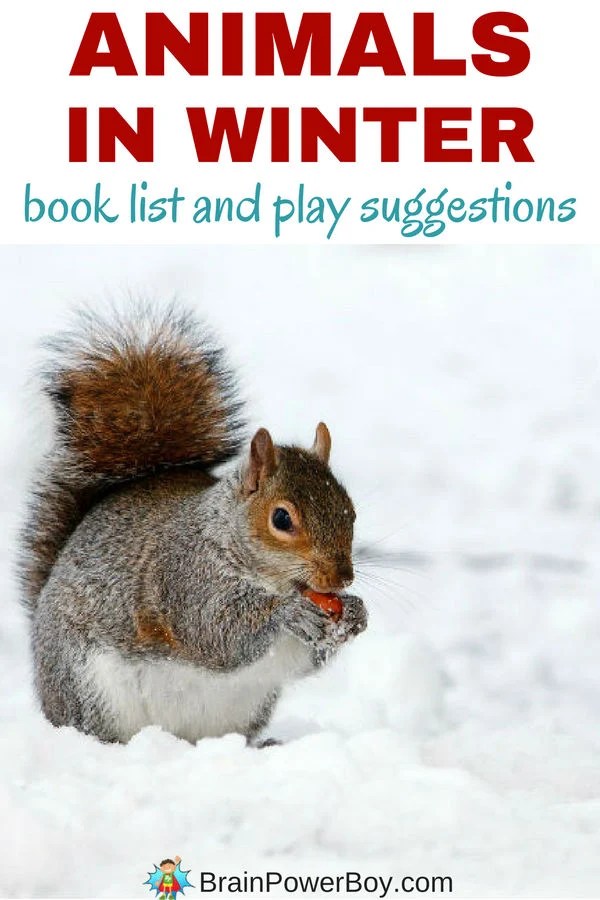 Animals in Winter Books to Learn About Adaptation Brain Power Boy