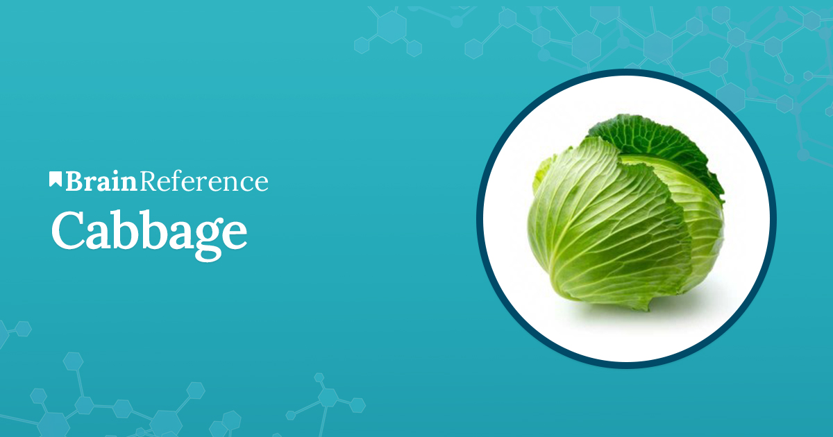 Cabbage Benefits, Uses, and Side Effects