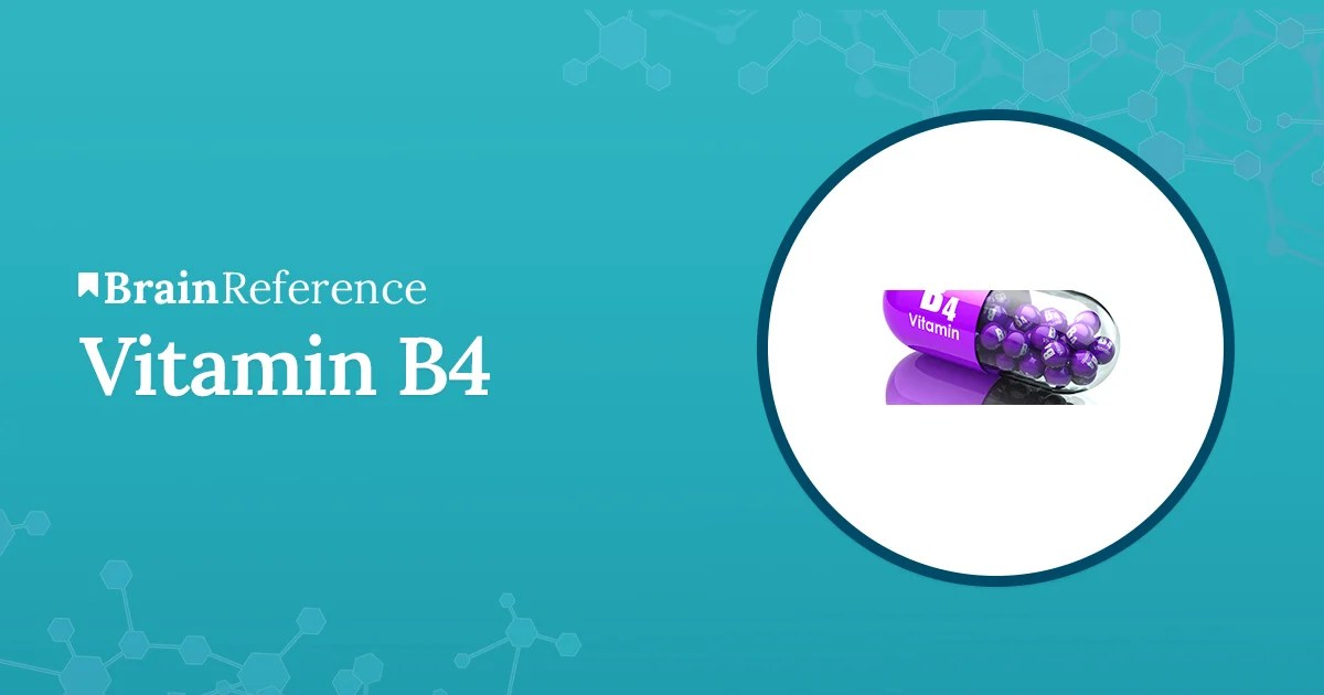 Vitamin B4 Benefits, Uses, and Side Effects of Vitamin B4